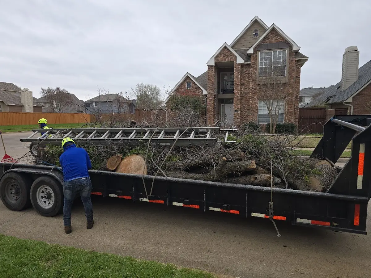 Expert Tree Fertilization with proper safety equipment in Wendell